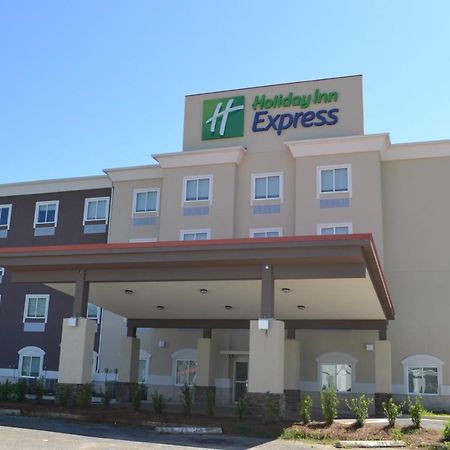 Holiday Inn Express Tallahassee-University Central By Ihg Dış mekan fotoğraf